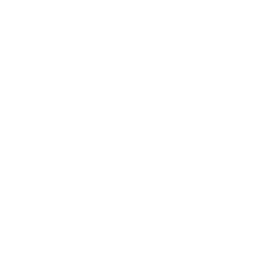 Miami Boardshop Logo